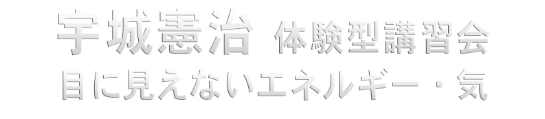 ２０１５年　宇城憲治 体験型講習会ロゴ