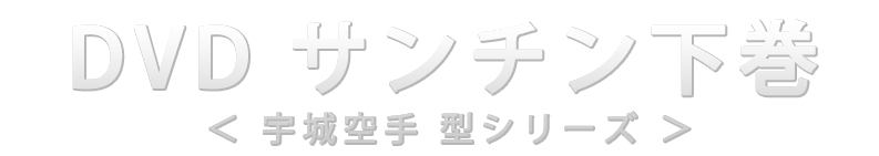 DVDサンチン下巻 宇城空手 型シリーズ