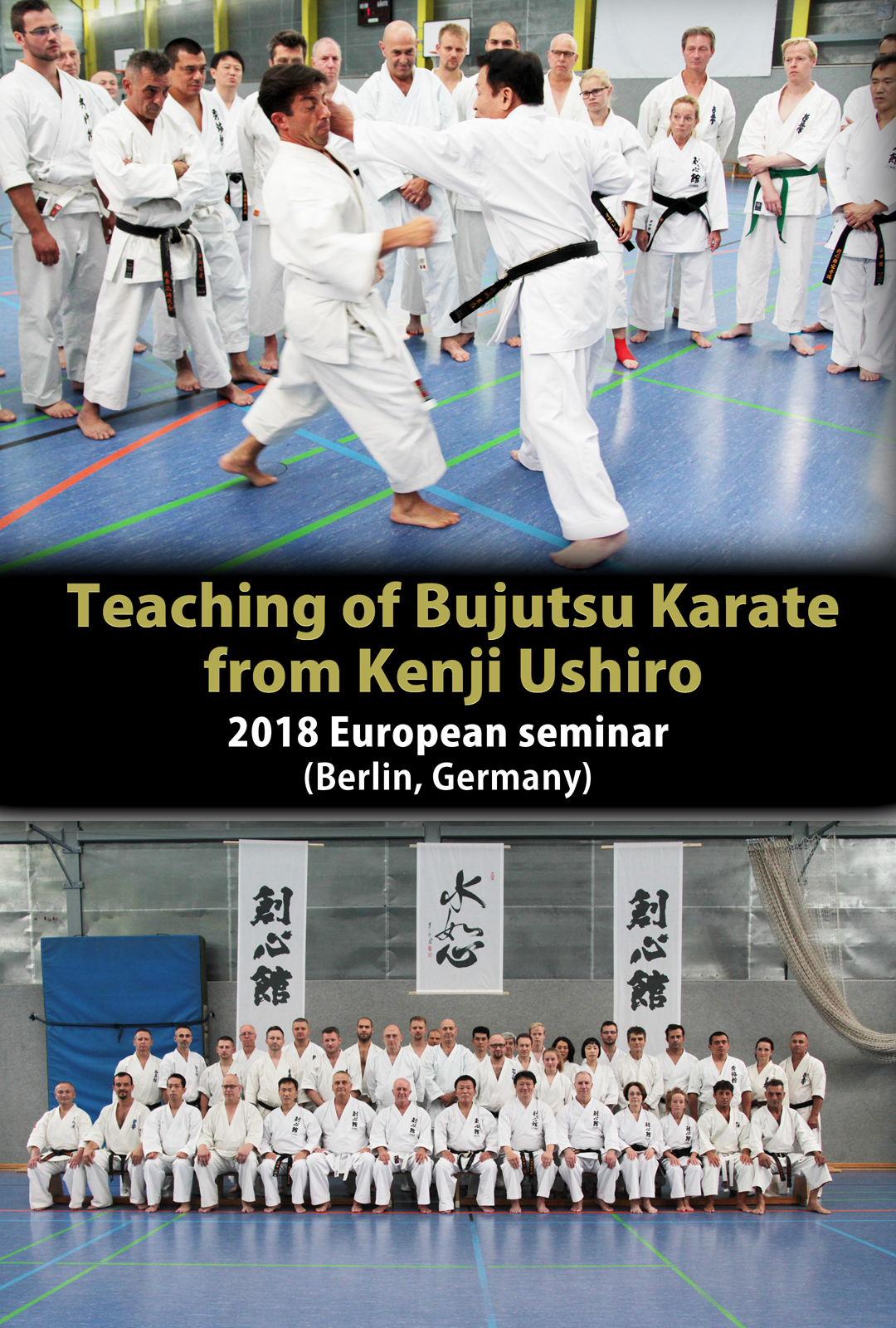 Teaching of Bujutsu Karate from Kenji Ushiro (2018 European seminar)